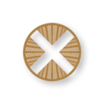 TownX Development